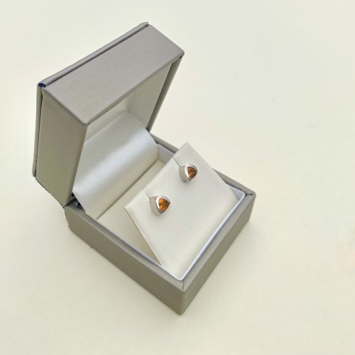 Small Silver Amber Stud Earrings.