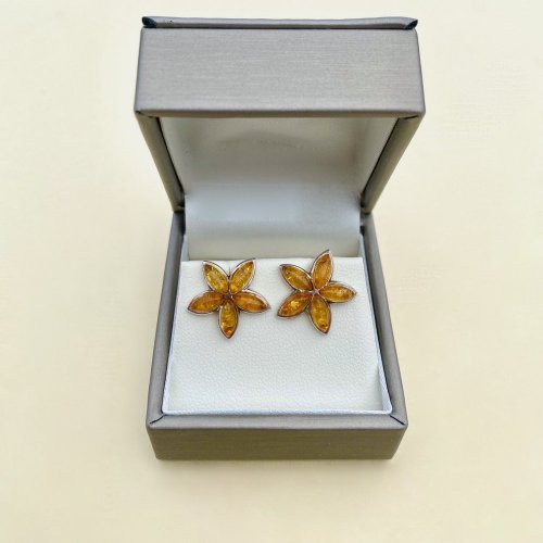 Silver Star Shaped Amber Earrings.