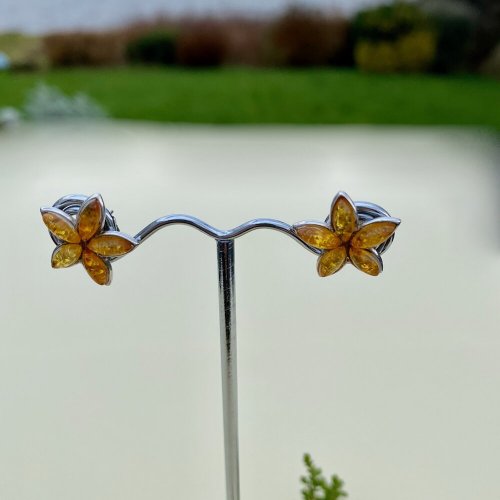 Silver Star Shaped Amber Earrings.