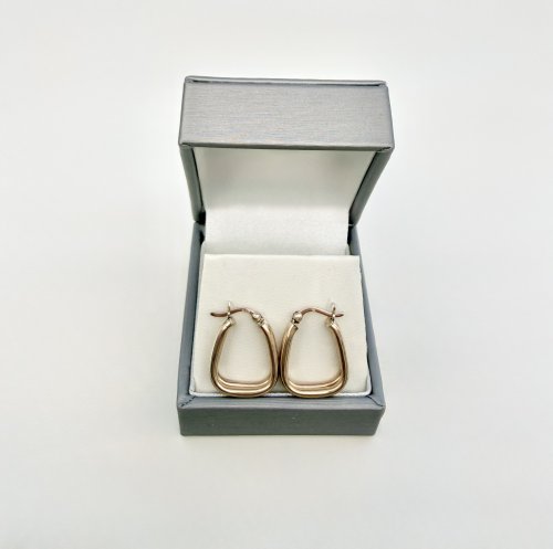 9ct. Yellow Gold Basket-Shaped Double Hoop Earrings. NEW IN STOCK.