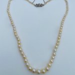 Akoya Cultured Pearl Necklet. Circa 1940&#039;s / 1950&#039;s.