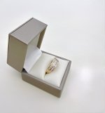 9ct. Yellow Gold Double Row Diamond Half Eternity Ring. NEW IN STOCK.